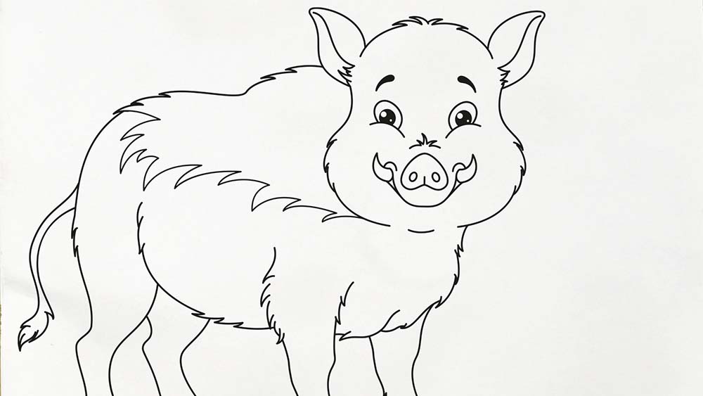 male dein wildschwein aus  minispick
